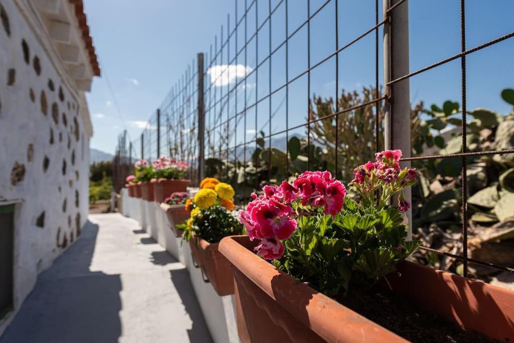 Vivienda Vacacional Ca' Pepita Y Jose El Albercon Eksteriør bilde